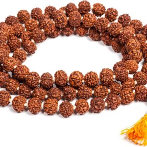 Rudraksha Malla Big Beads