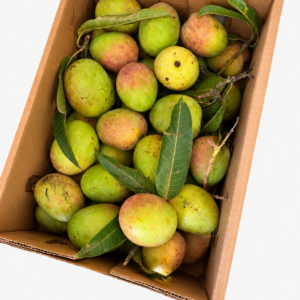Raw Mango